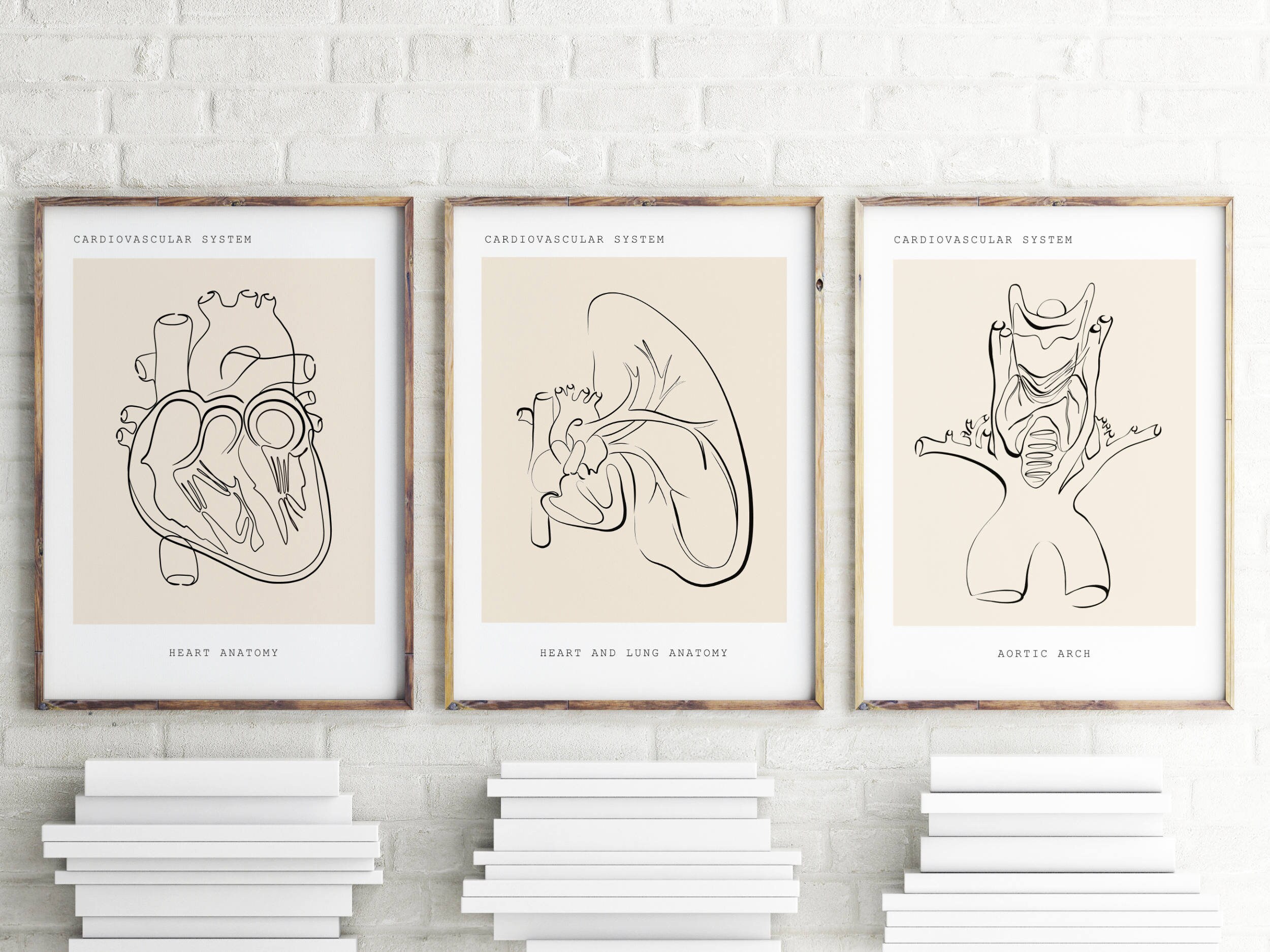 Anatomy Wall Art Heart Anatomy Print Cardiovascular System - Etsy UK