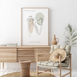 Impresiones de arte de anatomía humana, arte médico, arte de pared ortopédico, cartel de quiropráctica, cartel de anatomía, decoración clínica, conjunto de arte de anatomía imprimible imagen 8