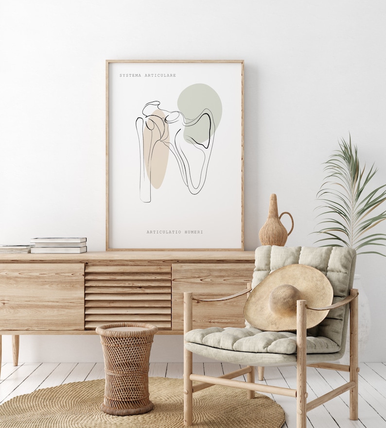 Impresiones de arte de anatomía humana, arte médico, arte de pared ortopédico, cartel de quiropráctica, cartel de anatomía, decoración clínica, conjunto de arte de anatomía imprimible imagen 8