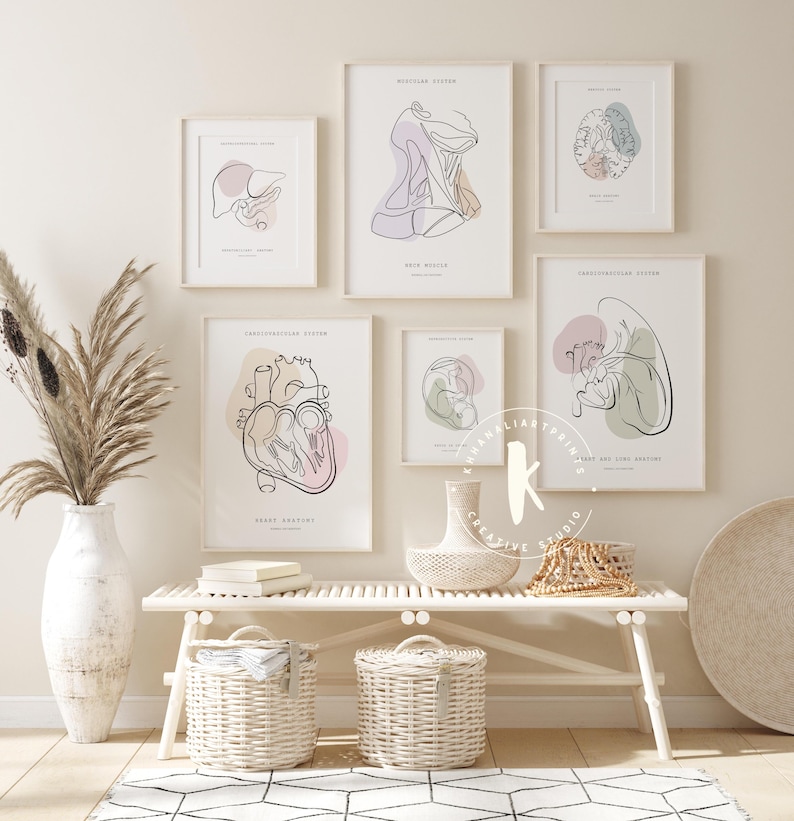 Anatomy Line Art Print Set of 6, Medical Wall Decor (digital Download ...
