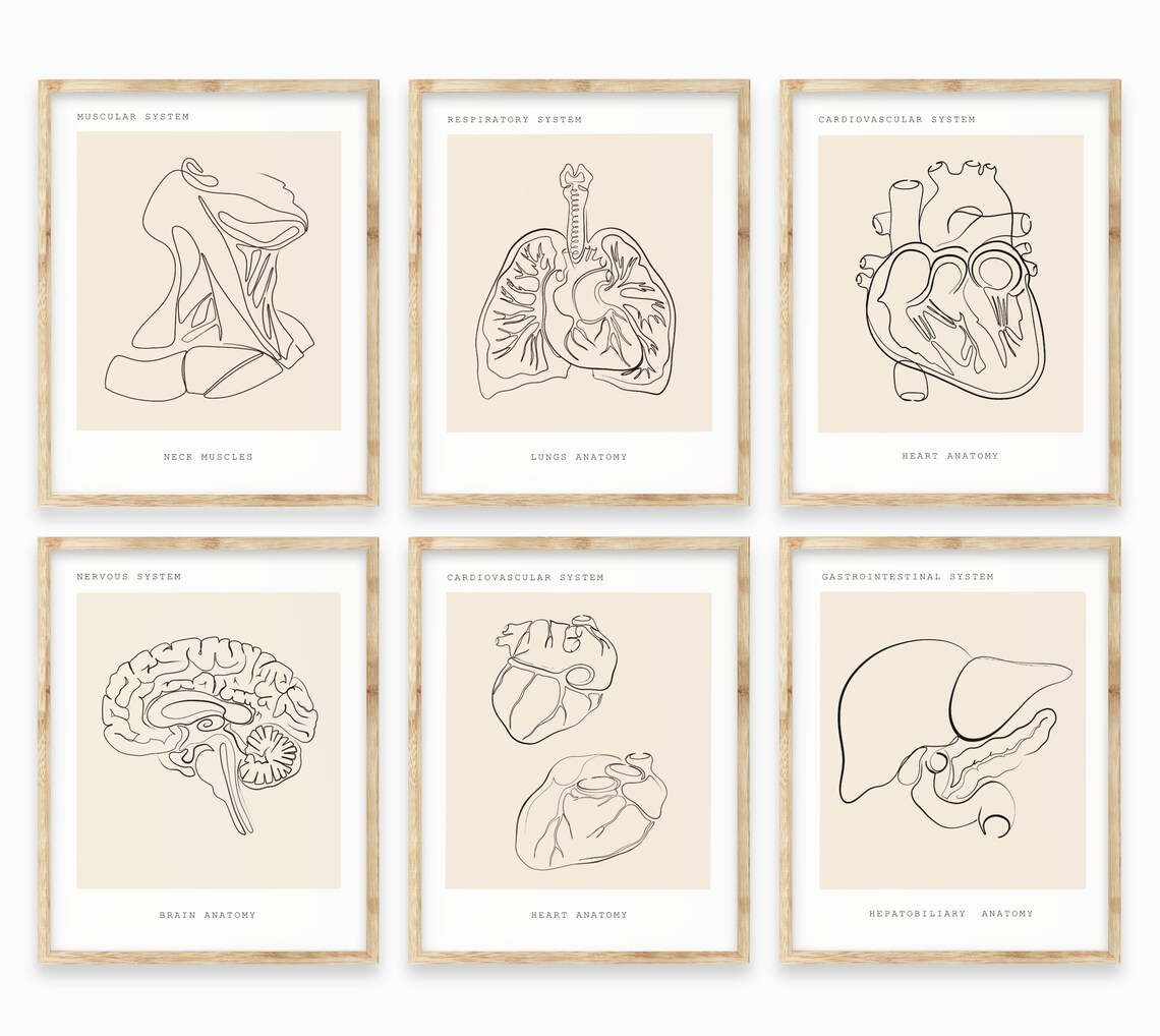 Collection d'art mural Anatomie de Haus and Hues