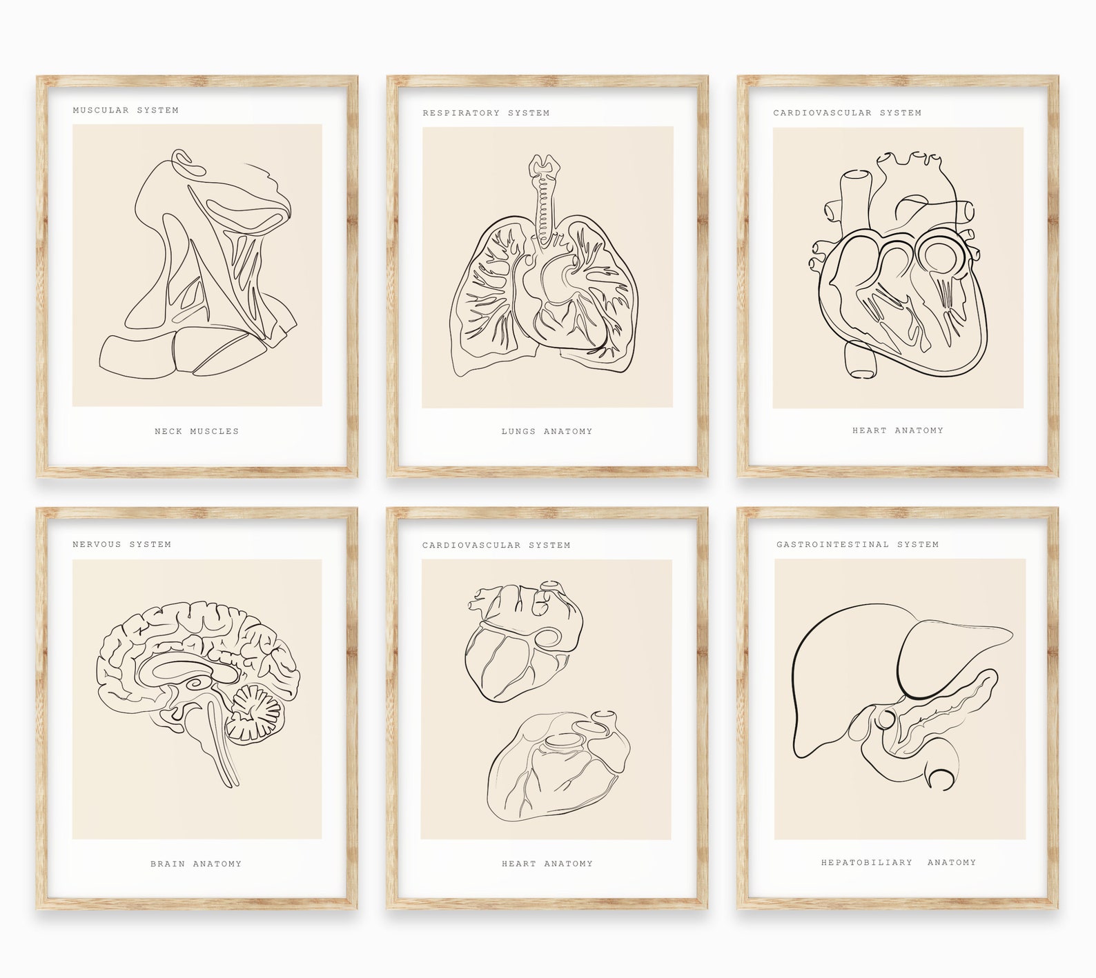 Human Anatomy Art Anatomy Wall Art Bundle Medical Wall Art Etsy