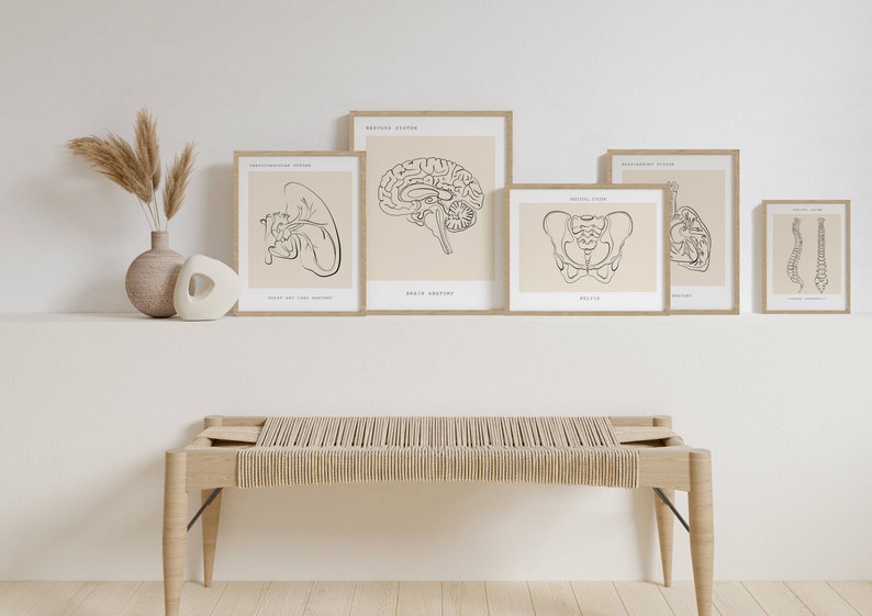 Anatomy Gallery Art Print Set of 15, Medical Wall Art (digital Download ...