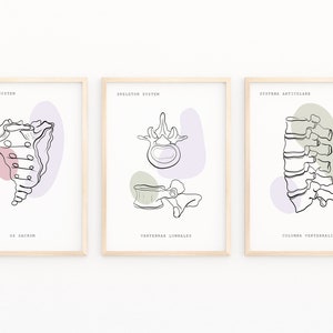 Impresiones de arte de anatomía humana, arte médico, arte de pared ortopédico, cartel de quiropráctica, cartel de anatomía, decoración clínica, conjunto de arte de anatomía imprimible imagen 4