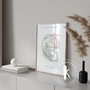 Lámina de anatomía del sistema reproductor, decoración para clínicas de obstetricia y ginecología (descarga digital) imagen 5