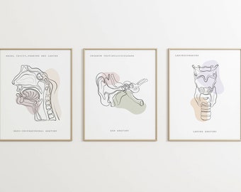 Art de l'anatomie, impression ORL, art médical, oreille gorge nez anatomie pharynx, larynx, ensemble d'impression d'anatomie, décor clinique, anatomie imprimable, affiche médicale