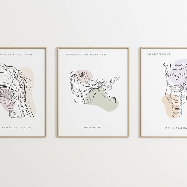 Arte anatomica, stampa ORL, arte medica, orecchio gola naso anatomia faringe, laringe, set di stampe anatomiche, arredamento clinica, anatomia stampabile, poster medico
