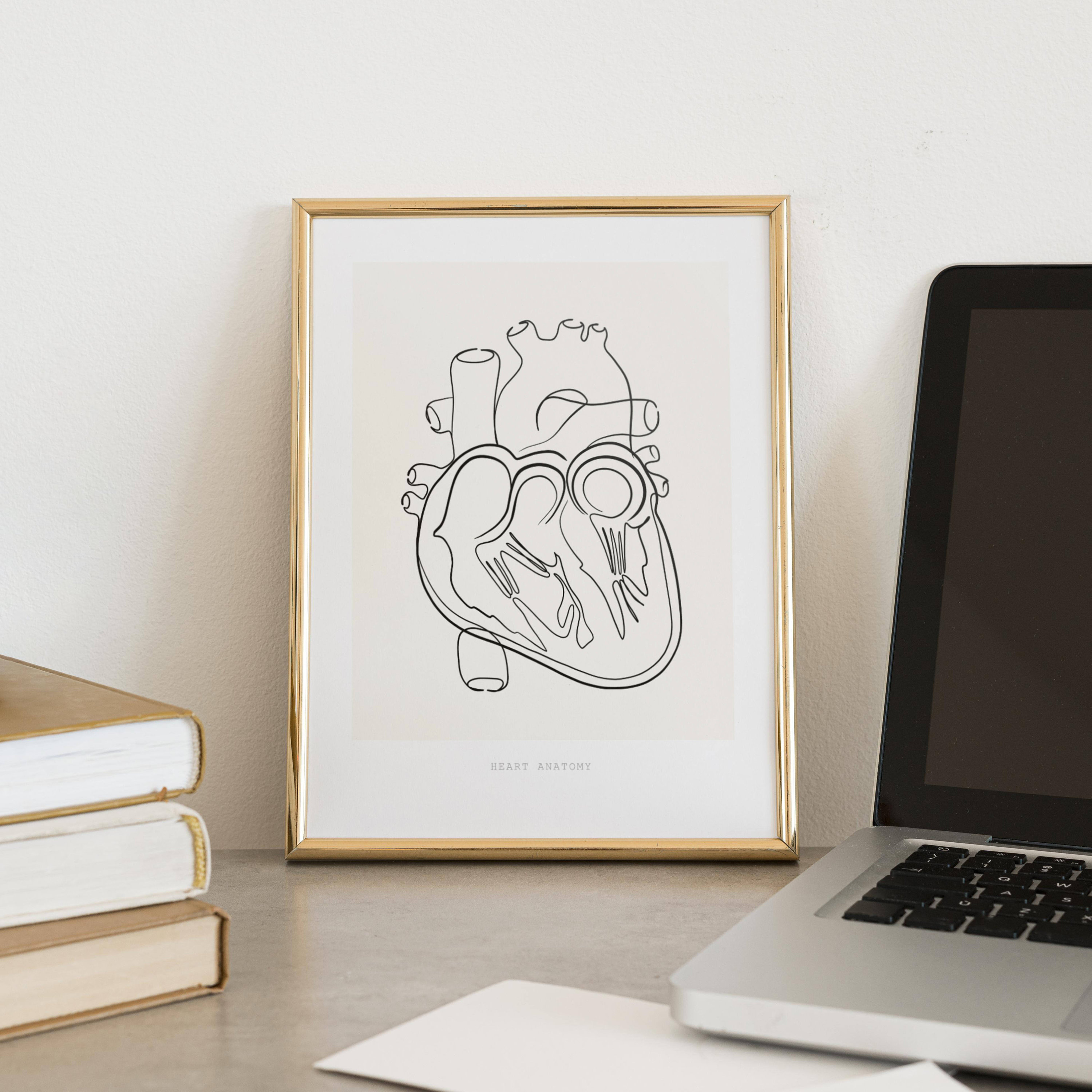 Heart Anatomy Print Anatomy Poster Anatomical Heart - Etsy Canada