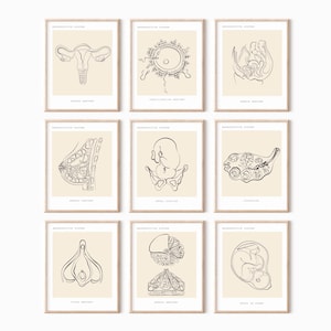 Set de 9 impresiones de ginecología, póster de ginecología, anatomía femenina, anatomía del sistema reproductivo, regalo para partera, decoración para consultorio de ginecólogo, arte obstétrico