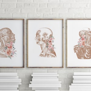 Human Anatomy Art Print, Medical Art, Floral Anatomy Decor, Massage Therapy Office Art, Colorful Body Art, Gift For Doctor, Clinic Art