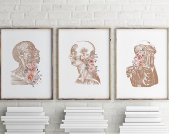 Floral Human Anatomy Art - Anatomy Prints Set of 3 - Medical Office Decor (Digital Download)
