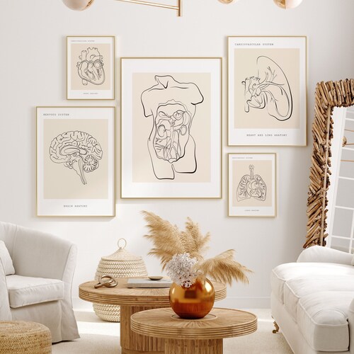Minimalist Anatomy Line Art Prints, Medical Office Decor (Digital Download)