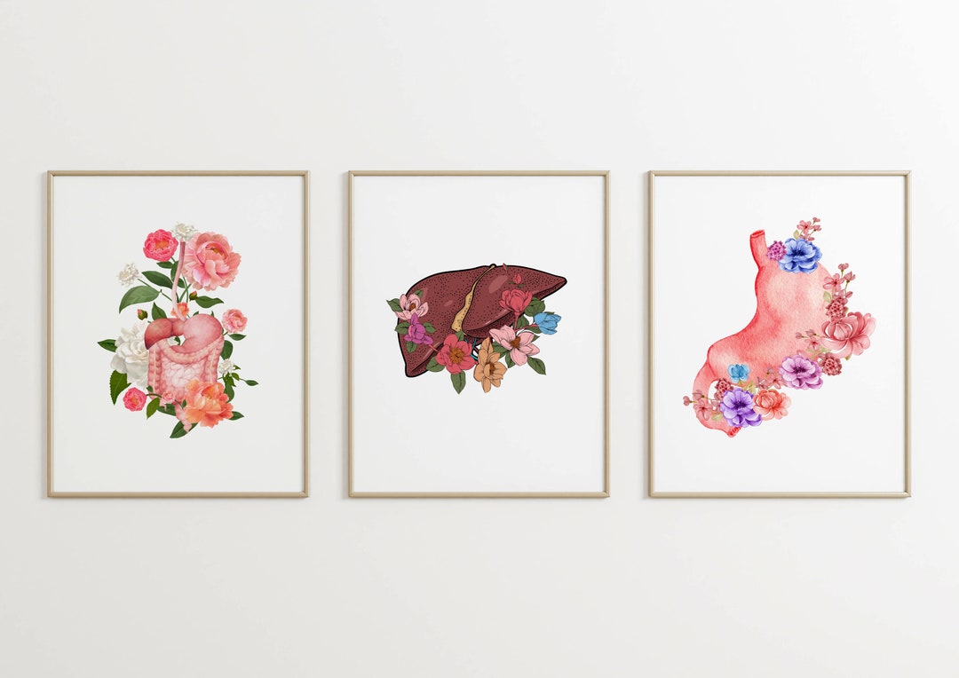 Anatomy Wall Art Set, Medical Artwork, Gastrointestinal System Art ...