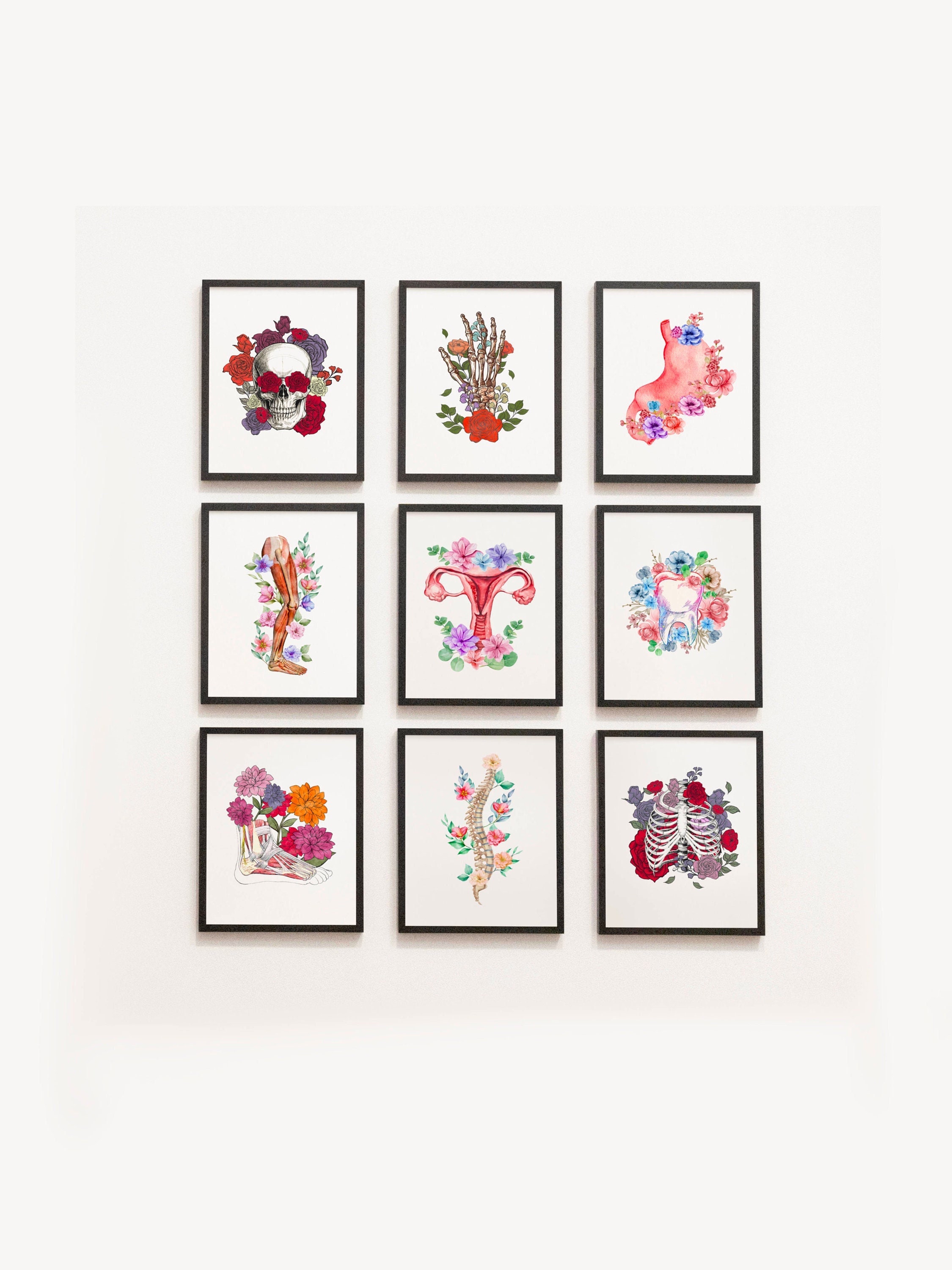 9 Colorful Anatomy Wall Art Set, Medical Prints, Floral Anatomy Poster, Doctor Office Decor, Med Student Gift, Anatomy Printable, Clinic Art