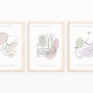 Anatomie Kunst,  Gastrosystem, Medizinische Kunst, Anatomie Poster, Menschliche Verdauung Anatomie, Anatomie Druck, Medizinische Illustration, Krankenhaus Dekor