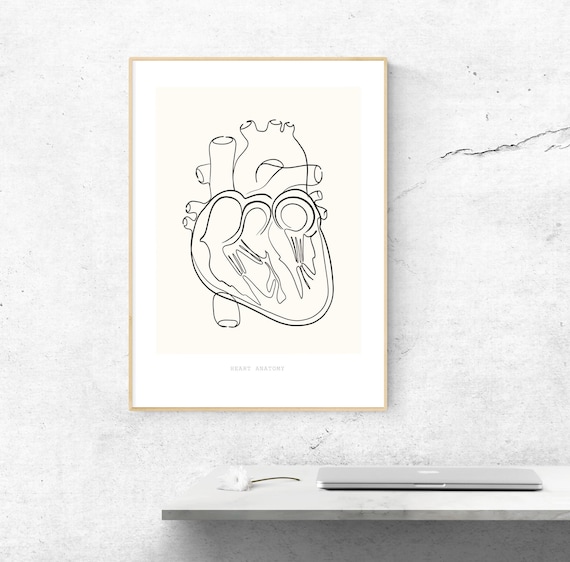 Heart Anatomy Print Anatomy Poster Anatomical Heart | Etsy