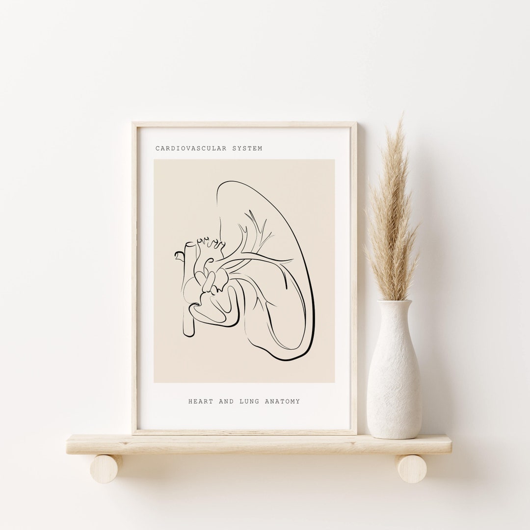 Anatomy Wall Art, Heart Anatomy Print, Cardiovascular System Print ...