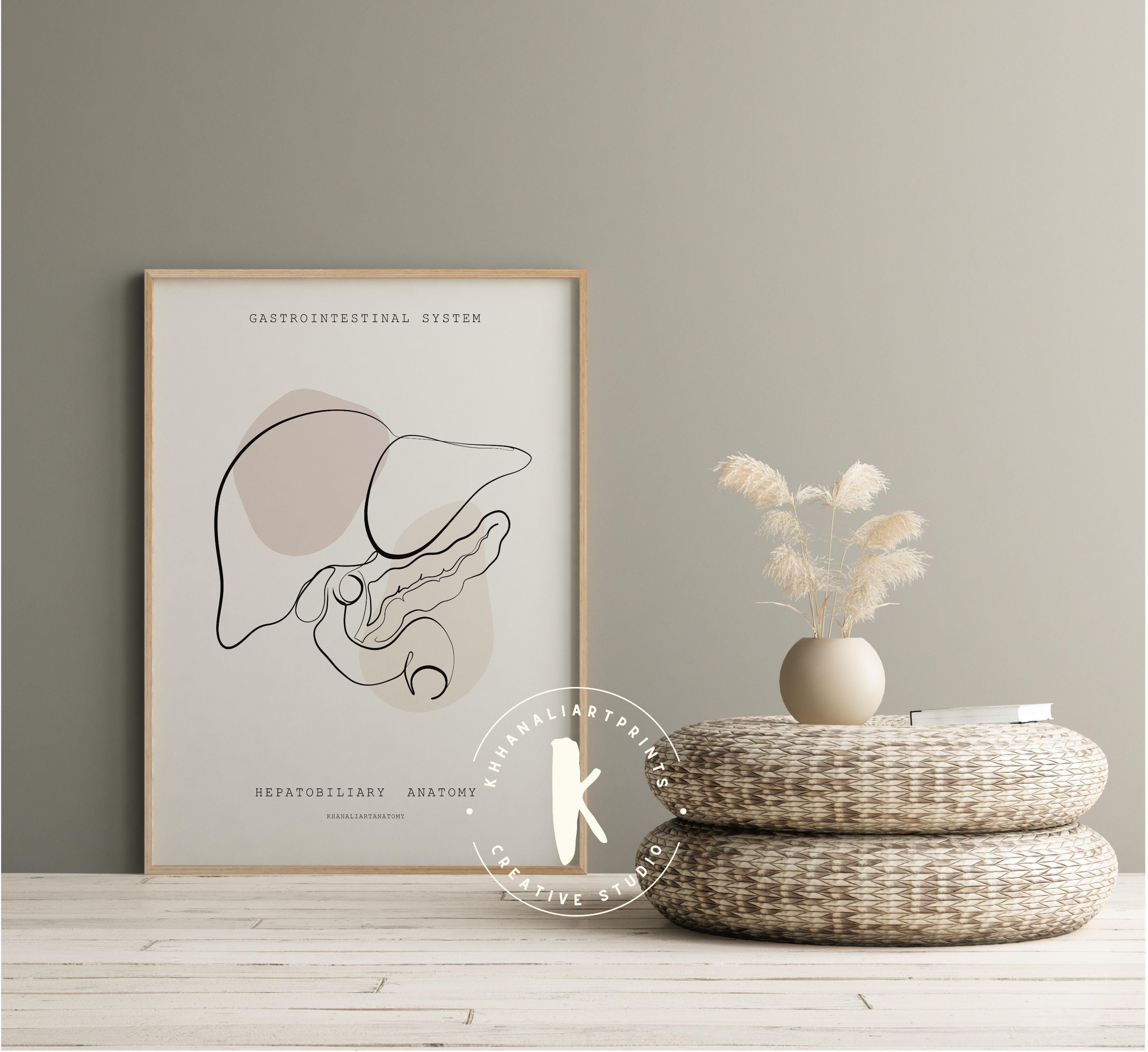 Watercolor Digestive System Anatomy Print, Gastroenterologist Gift ...