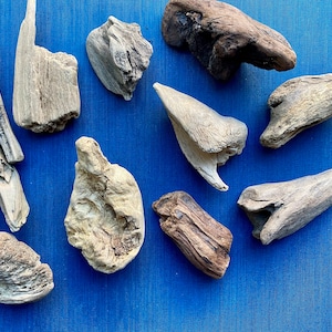 Treibholz, Driftwood, Seeholz, 10 Stücke zum Basteln und Dekorieren