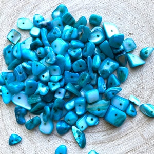 Könnte beinhalten: Eine Sammlung von blauen und weißen Muschelkernperlen mit Löchern, die durch die Mitte gebohrt sind. Die Perlen sind in verschiedenen Formen und Größen, darunter oval, rund und rechteckig.