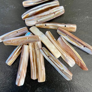 Könnte beinhalten: Eine Sammlung von 14 schimmernden braunen und weißen Muschelknöpfen mit jeweils zwei Löchern. Die Knöpfe sind glatt und haben ein natürliches, organisches Aussehen.