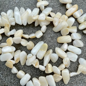 Shell mother-of-pearl splinters, 8 -20 mm, strand 80 cm, chips, nuggets