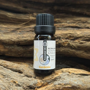 Pode incluir: Uma pequena garrafa de vidro âmbar escuro de 10 ml de óleo essencial de Gardênia com tampa preta. O rótulo diz "NL Naturals 100% Pure & Natural Therapeutic Grade". A garrafa está sobre um fundo de madeira marrom texturizada.