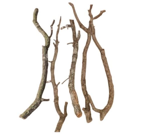 pfeffermühle holz groß Florina Salz-/Pfeffermühle Salzstreuer Gewürzmühle braun aus Holz, Pfeffer Salz Edehlstahlmahlwerk 32cm PM139 Zassenhaus