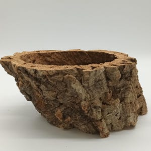 Può includere: Una ciotola in corteccia di sughero naturale con una superficie ruvida e testurizzata. La ciotola è di forma ovale e ha un centro vuoto.