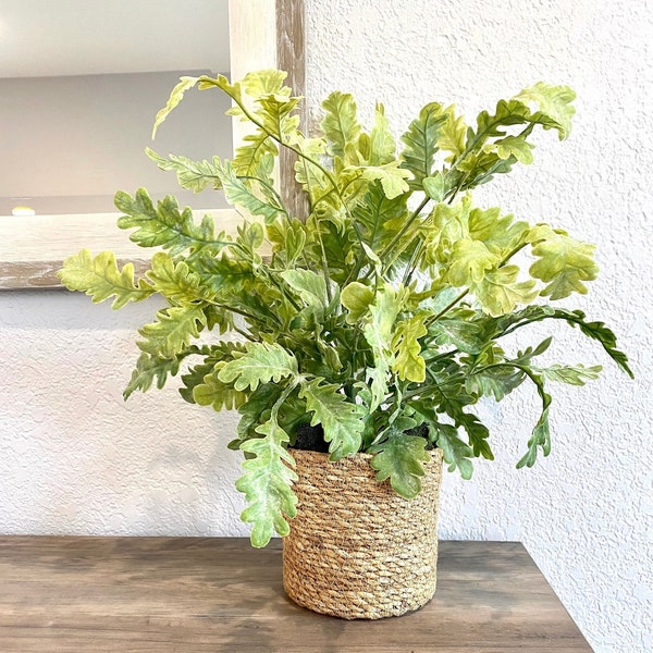 Artificial House Plant in Basket Potted Plant Indoors Artificial Fern Plant Realtouch Faux Plants for Home Decor Plant Lover Gift