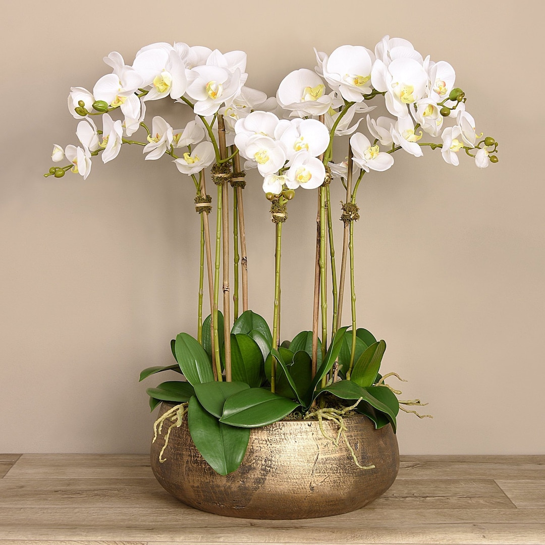 Faux orchid sale arrangements