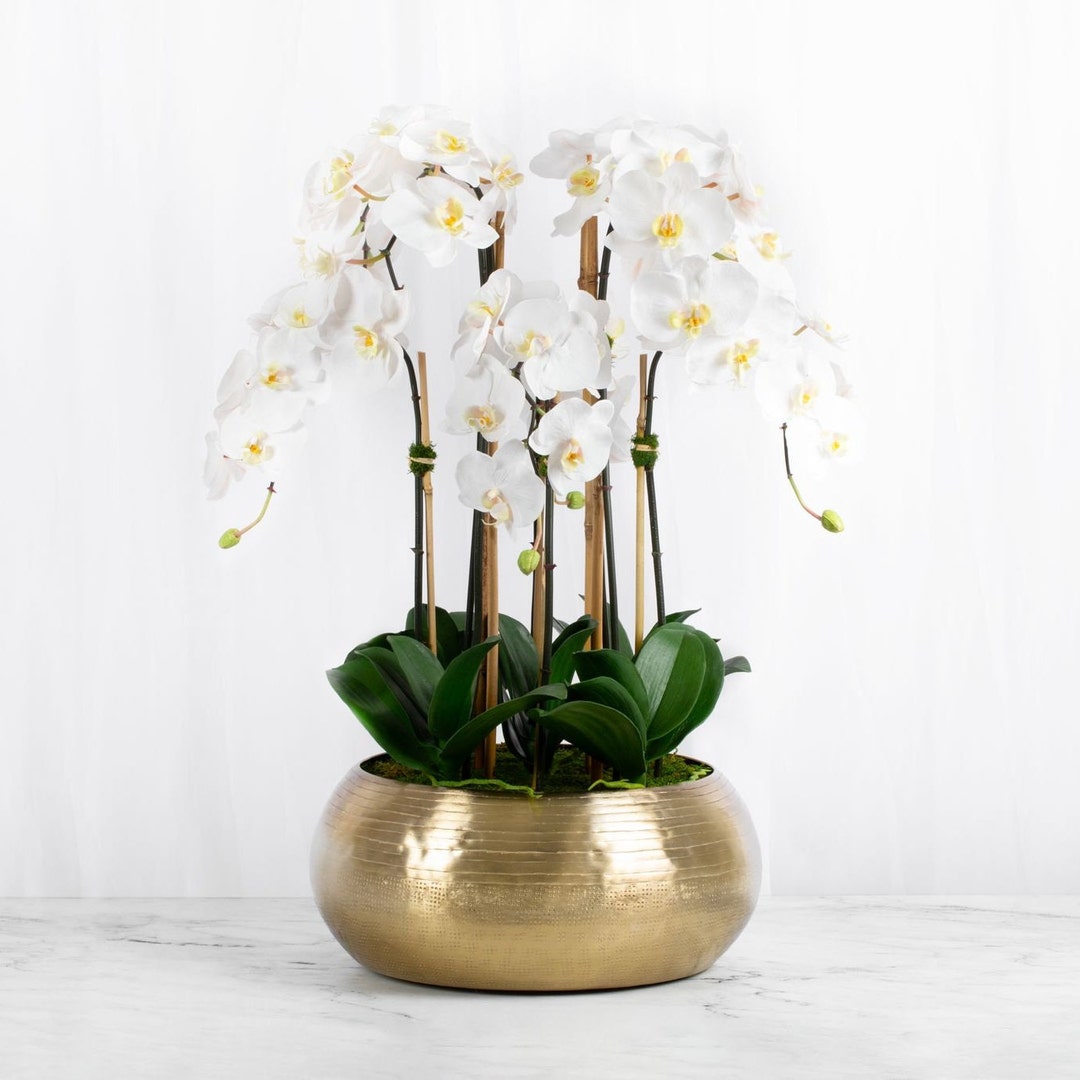Large Orchid Centerpiece Arrangement in Gold Vase White Orchid Flower ...