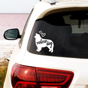 Vinyl decal Australian Shepherd Velcro Dog