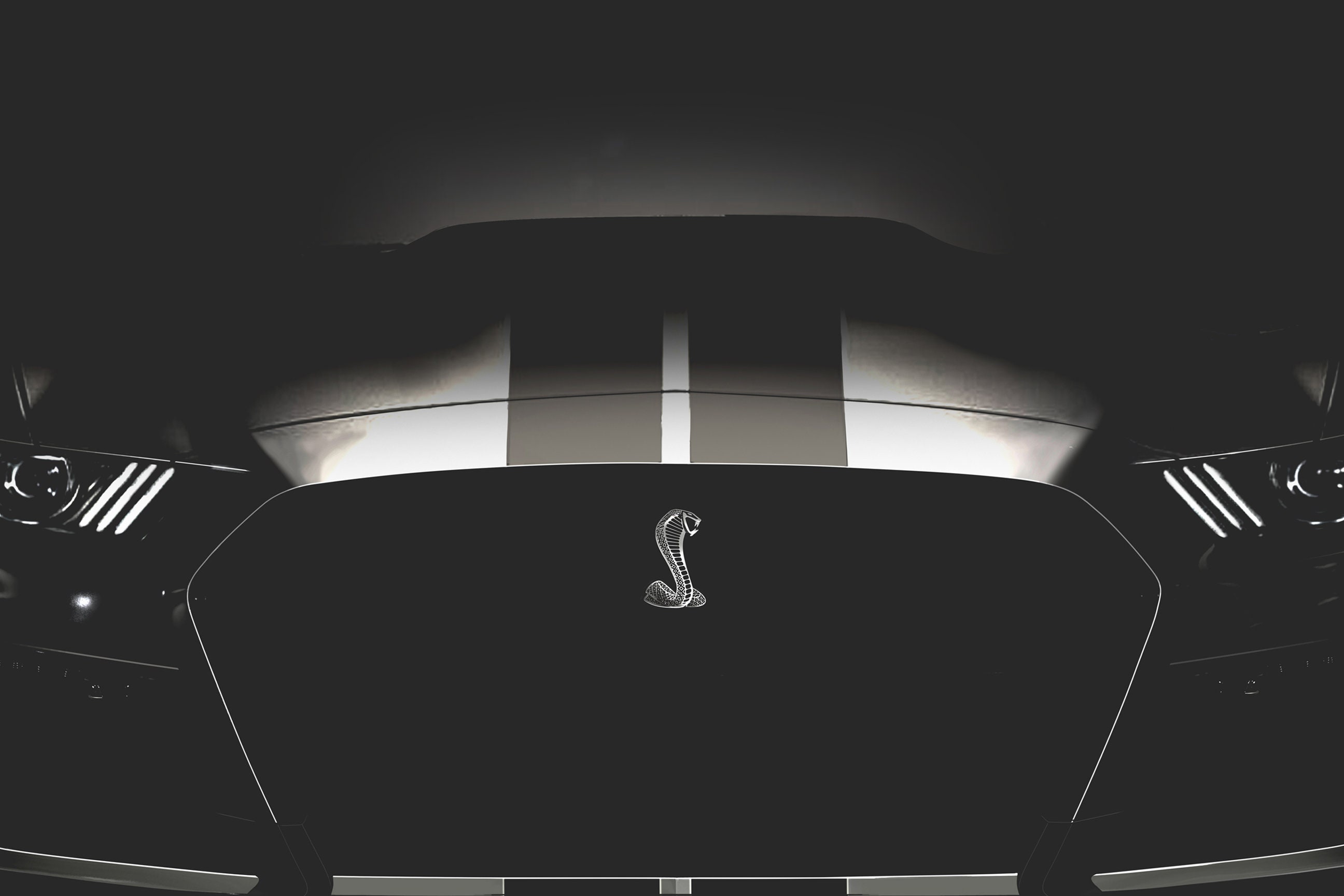 Shelby GT500 in Black and White, Close up Poster - Etsy