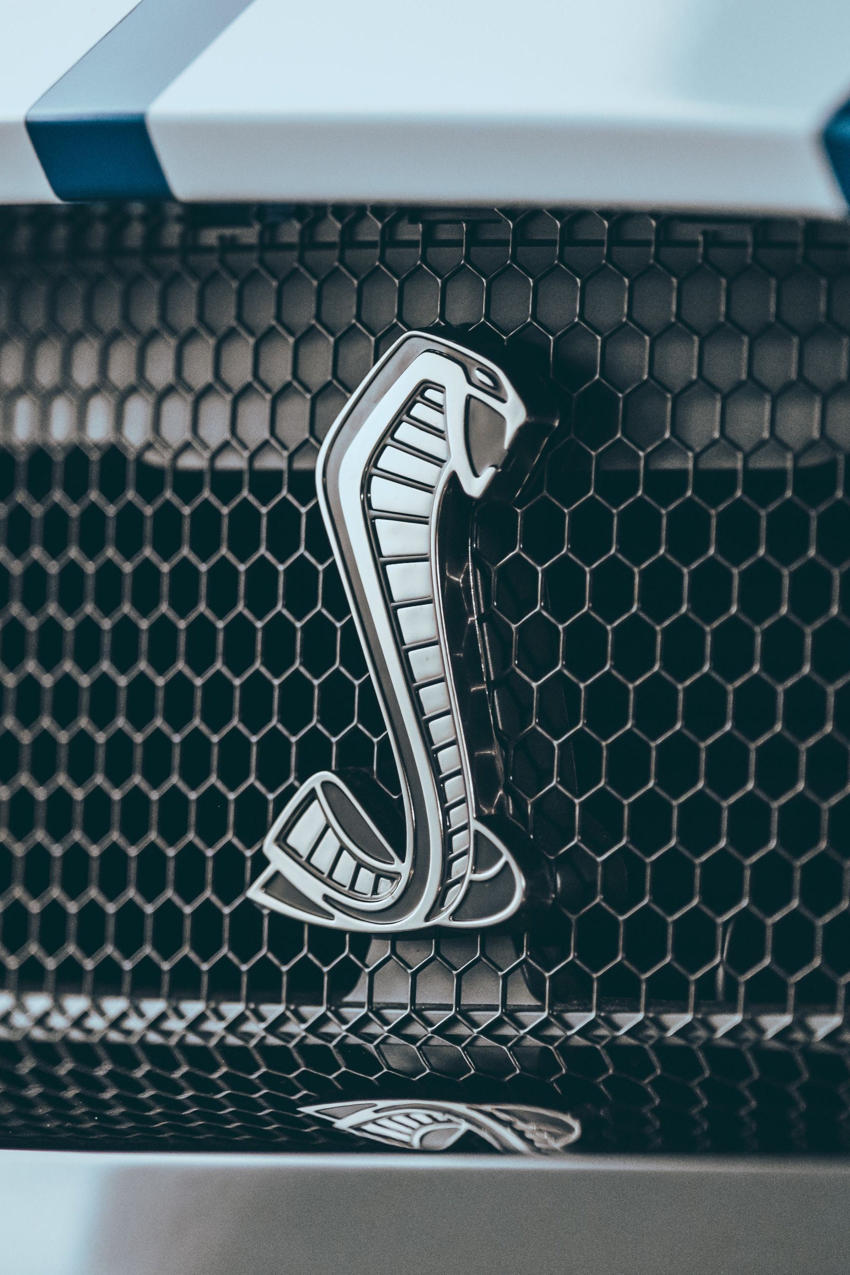 Shelby Mustang Logo Poster - Etsy