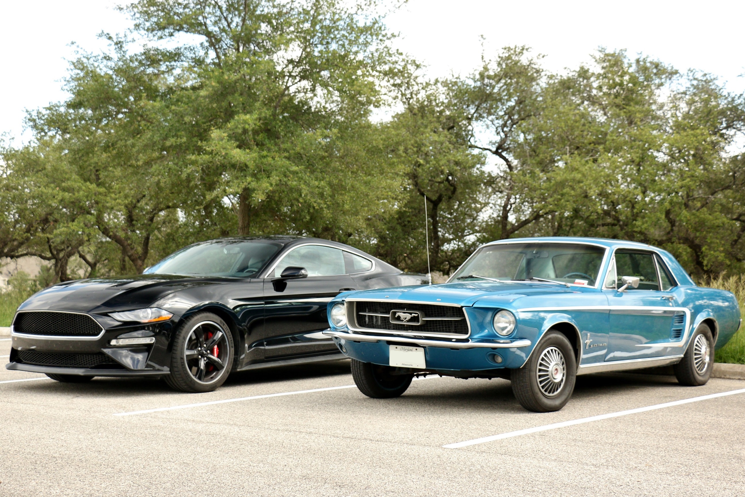 Cepsold School Mustangs For Sale 81