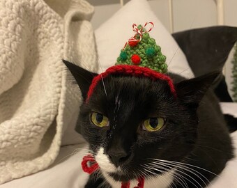 kitty santa hat