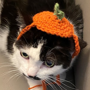 May include: A crocheted orange pumpkin hat with a small green stem on top, featuring thin orange yarn ties extending from the sides. The hat is designed to fit on the head of a cat, with a textured, hand-stitched appearance and vibrant orange yarn.
