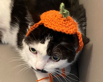 Cat hat, cat accessories, pet supplies