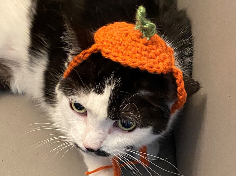 May include: A crocheted orange pumpkin hat with a small green stem on top, featuring thin orange yarn ties extending from the sides. The hat is designed to fit on the head of a cat, with a textured, hand-stitched appearance and vibrant orange yarn.