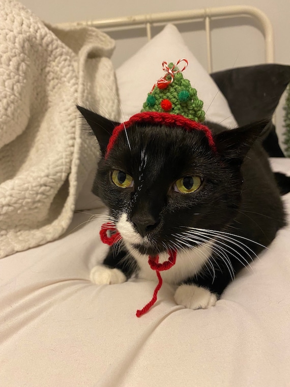 Cat hat, cat accessories, pet supplies, Christmas cat hat, Christmas gifts for cats lovers, Stocking stuffer for cat lover