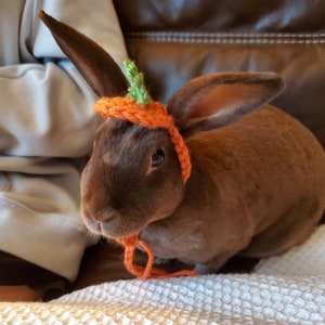 May include: A brown rabbit wearing a small, handmade orange crocheted hat shaped like a pumpkin. The hat features a tiny green stem on top and includes orange crocheted ties that hang down under the chin of the rabbit, securing the accessory.