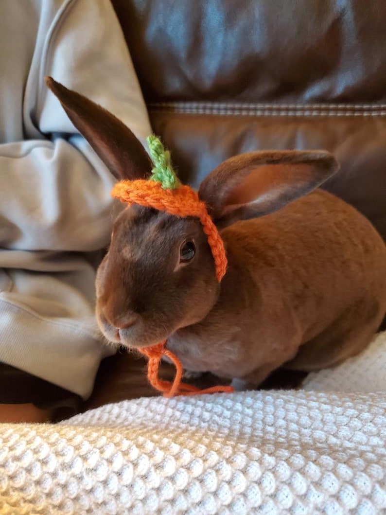 May include: A brown rabbit wearing a small, handmade orange crocheted hat shaped like a pumpkin. The hat features a tiny green stem on top and includes orange crocheted ties that hang down under the chin of the rabbit, securing the accessory.