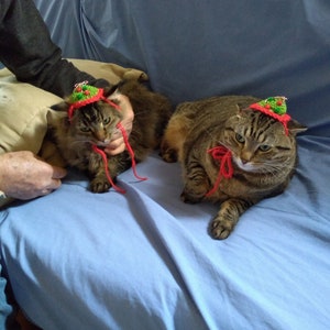 May include: Two brown tabby cats wearing small, conical, crocheted hats. The hats are green with red trim and small red and green pom-poms on top. Each hat features long red yarn ties that hang down from the sides, secured under the cats' chins.