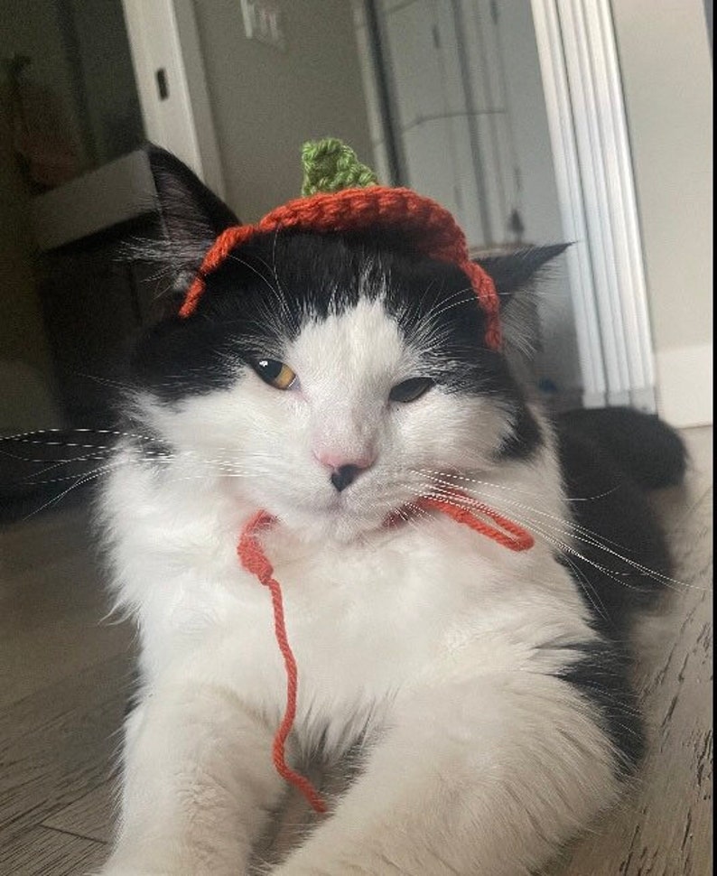 May include: A black and white cat wearing a small, hand-crocheted orange pumpkin hat with a green stem. The hat features thin orange yarn ties that hang down from the sides, resting near the cat's chest. The cat has long white whiskers.