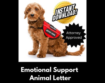 ESA Letter Template For Mental Health Professionals| Attorney Approved|Fully Editable In Microsoft Word|Instant Download