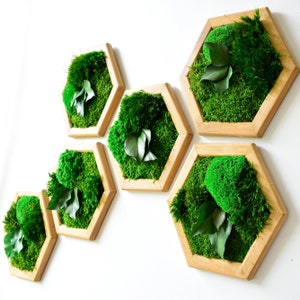Moss Wall Art Decor, Handmade Hexagon Moss Art Wooden Framed, No Maintenance, Sets from one piece to twelve pieces