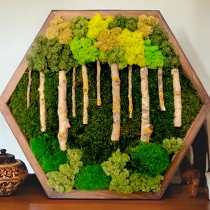 Moss Wall Art, Large Honeycomb Moss art, Wooden Hexagon, Forest design wall art.