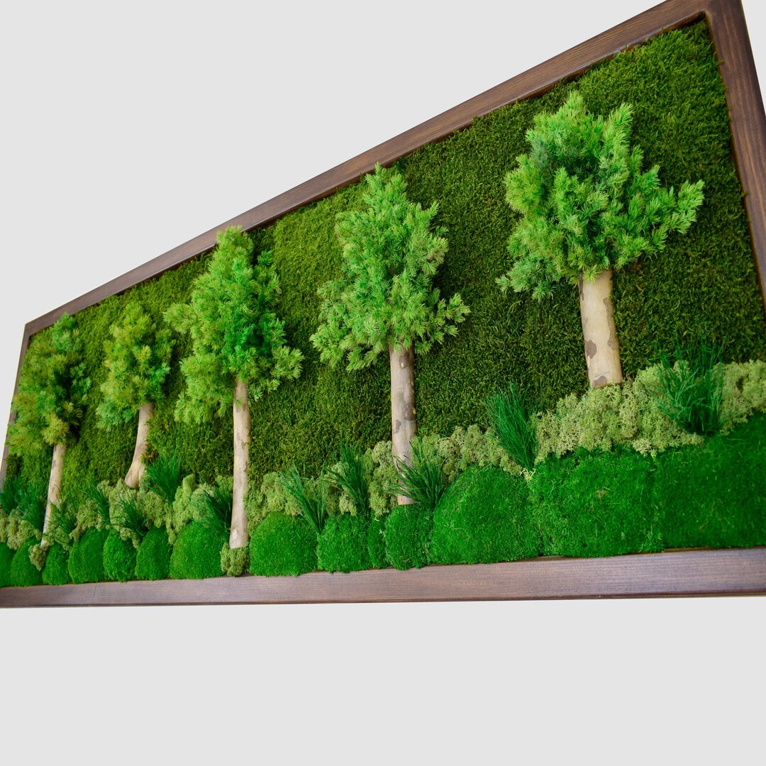 Moss Wall Art, Moss Wall Decor, Moss Art, Framed Moss Art Wall Decor ...