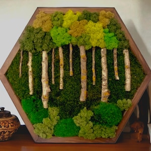 Waben Hexagon Moss Wandkunst - Waldszene mit natürlichen Zweigen